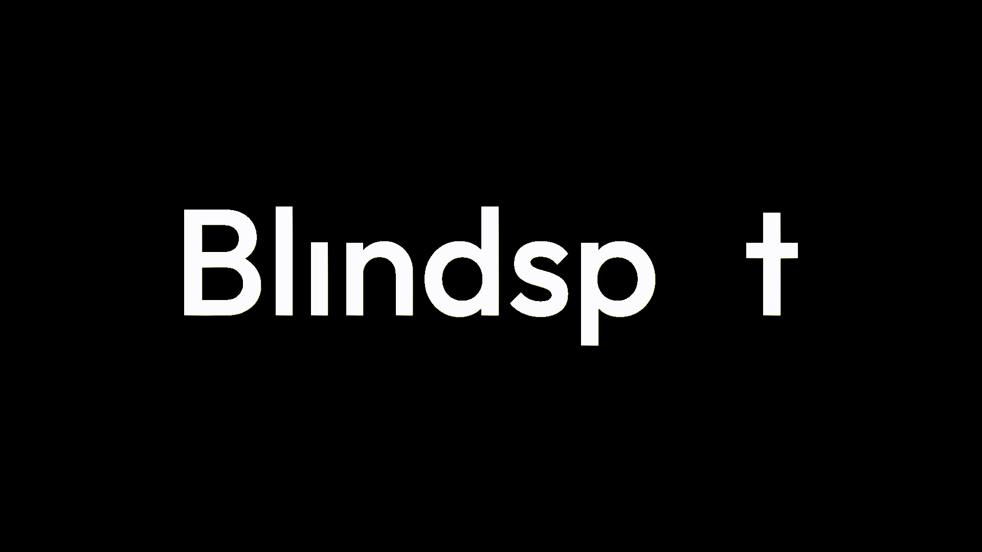 Partner Spotlight: Blindspot